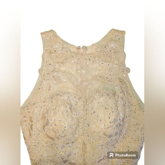 Aspeed Design Lace and Jewel / Rhinestone Champagne Formal Dress - Picture 3 of 16